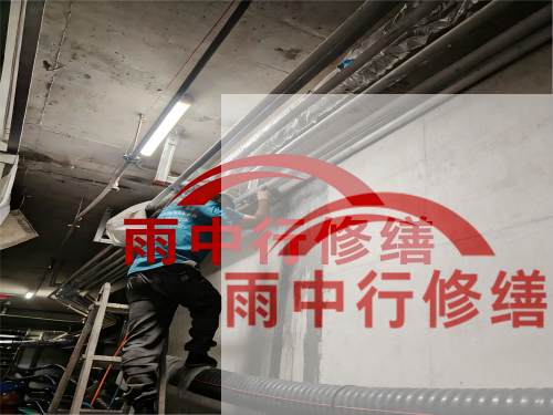 嘉兴电网地下室堵漏案例