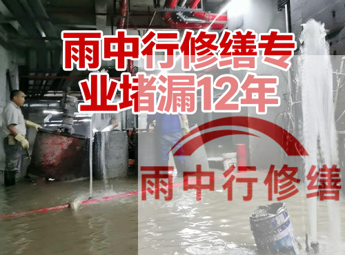 嘉兴中国五矿某大型污水处理厂堵漏案例